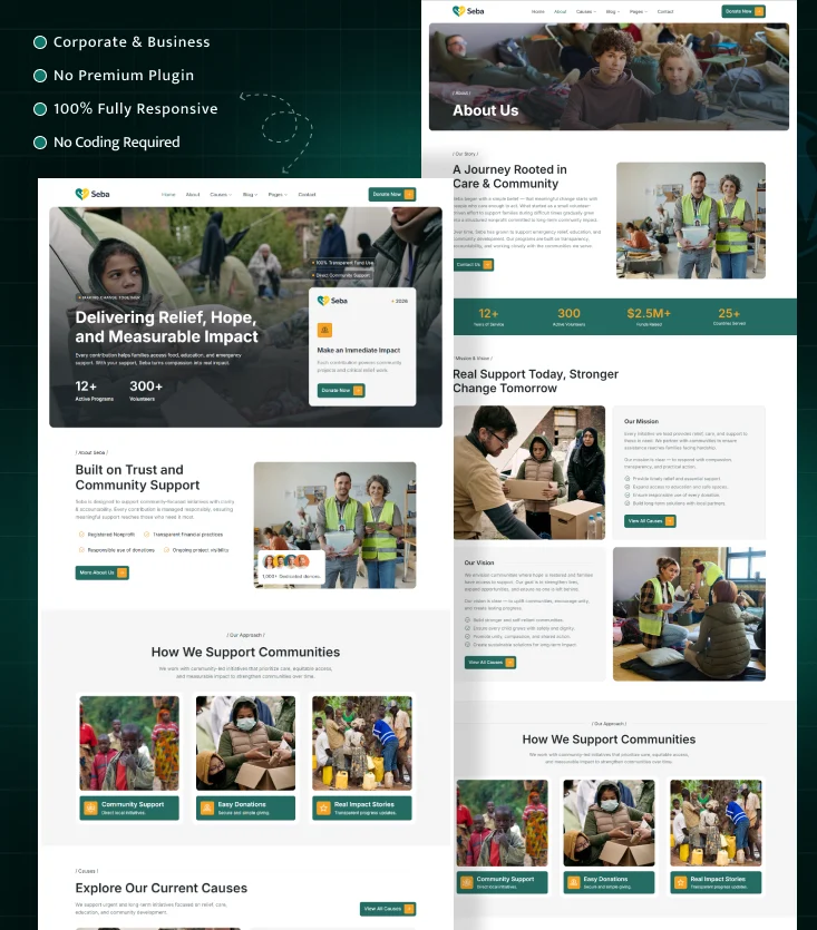 Seba - Charity & Donation Elementor Template Inner Cover