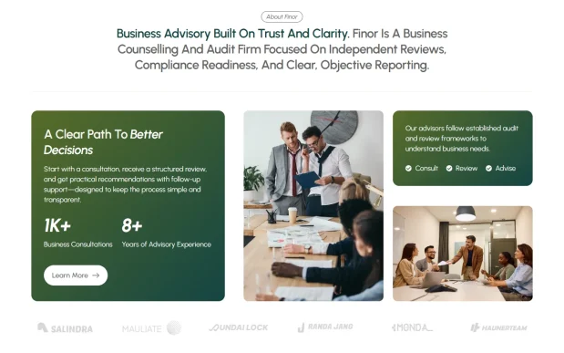 Finor 2 Business Consultant & Audit Agency WordPress Full Website Template Kit