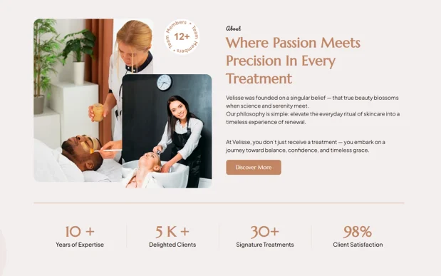Velisse (3) Spa Center WordPress Full Website Template Kit